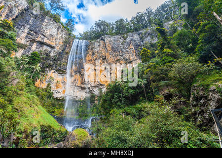 Rainbow Falls in a rainforest in Springbrook National Park, QLD, Australia Stock Photo