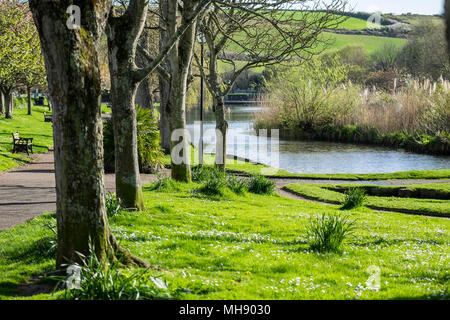 Trenance Park in Newquay in Cornwall. Stock Photo