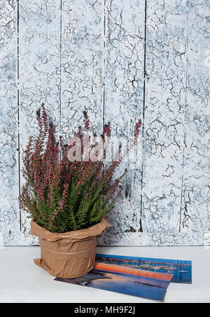 bunch of heather with cards on white wooden background. Stock Photo