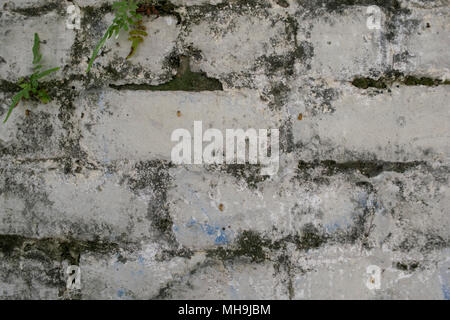 Close up of white washed brick wall Stock Photo