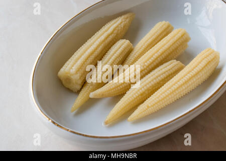 Sweet Baby Corn Pickle in Porcelain Bowl. Organic Food. Stock Photo