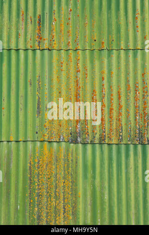 Green corrugated background. Stock Photo