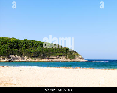 beautiful view of sea with forest Stock Photo