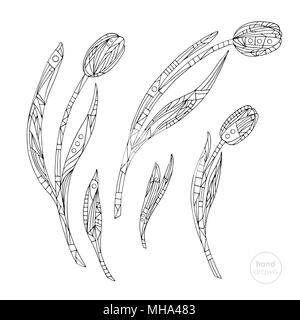 Tulips coloring page. Hand drawn abstract flowers vector illustration. Stock Vector