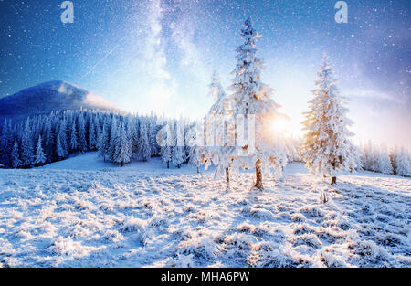 magical moment, snow covered trees. Winter landscape. Stock Photo