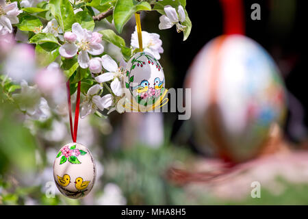 Easter egss hanging on the twig of apple tree in the garden Stock Photo
