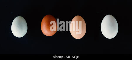 Cage free farm fresh chicken eggs with diverse colors on black background, view from above. Stock Photo