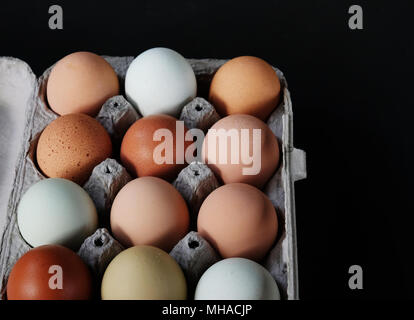 Cage free farm fresh chicken eggs with diverse colors on black background, view from above. Stock Photo