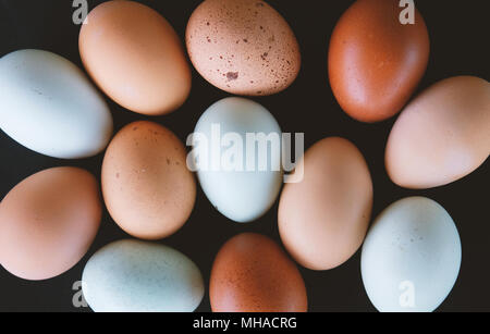 Flat lay collection of cage free farm chicken eggs in detail.  Shows different multi color of egg from simple life. Stock Photo