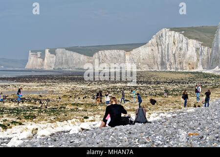 The Seven Sisters chalk cliffs on a sunny spring day at Birling Gap in the South Downs National Park East Sussex England UK Stock Photo