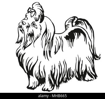 Decorative portrait of standing in profile Maltese dog, vector isolated illustration in black color on white background Stock Vector