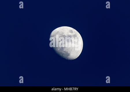 A waxing gibbous moon around nautical dusk time on a clear cold night Stock Photo