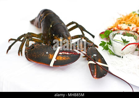 Live large lobster on a table with the white tablecloth Stock Photo