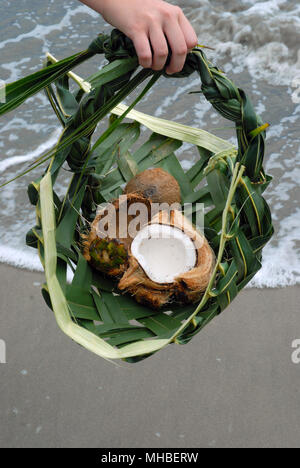 Woven Basket made from coconut palm leaves, Pacific Harbour, Fiji. Stock Photo