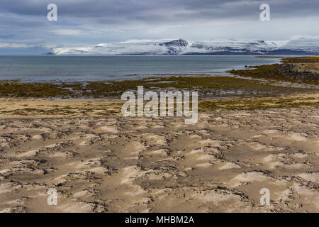 Wild sand beach with a view on Drangajokull, the northern most glacier in Iceland, Westfjords Stock Photo