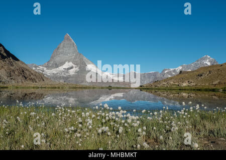 View on cotton grass and Matterhorn reflected in Lake  Riffelsee near Zermatt, Switzerland. Stock Photo