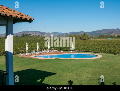 Landscaped garden and swimming pool within vineyards, Hotel TerraVina, Santa Cruz wine region, Colchagua Valley, Chile, South America Stock Photo