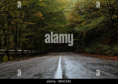 the mysterious wet road after a rain between trees with a marking Stock Photo