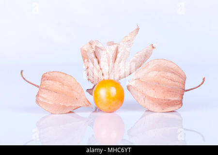 Three golden berry isolated on white background with reflection in the ground. Stock Photo