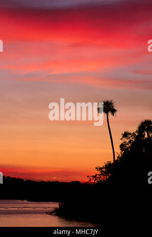 Parker Island sunset, Crystal River National Wildlife Refuge, Florida Stock Photo