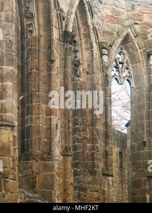 Detail of gothic ruins of Oybin  monastery in Germany Stock Photo