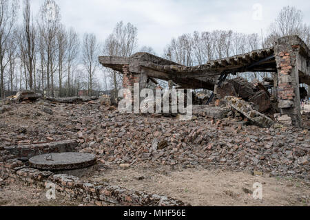 Photograph of the remains of crematorium at Auschwitz Birkenau Nazi Concentration Camp. Crematoria were blown up by the Germans at the end of WW2. Stock Photo