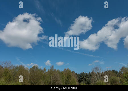 fluffy clouds amongst beautiful blue skies Stock Photo
