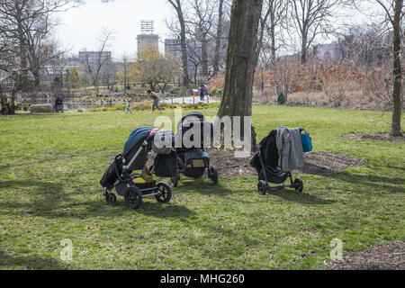 Parked carriages as mothers introduce young children to the beauty of the Brooklyn Botanic garden in New York City. Stock Photo