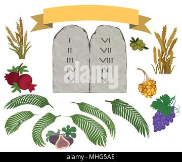 Tablets of stone with ten commandments and Seven species of the Holy Land on white background Stock Vector