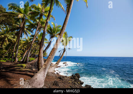 Amazing hawaiian beach Stock Photo