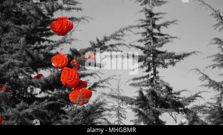 Red Lamp on the tree with black and white tone Stock Photo