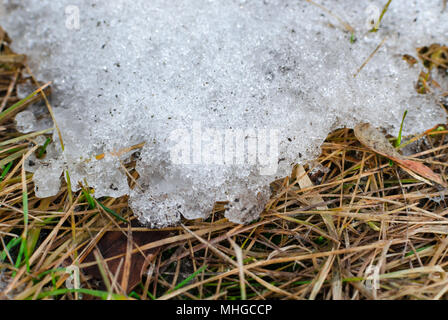Some ice and snow on dead grass. Stock Photo