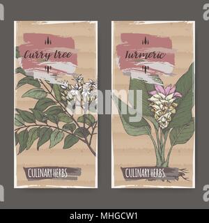 Set of two labels with turmeric and curry tree hand drawn color sketch. Stock Vector