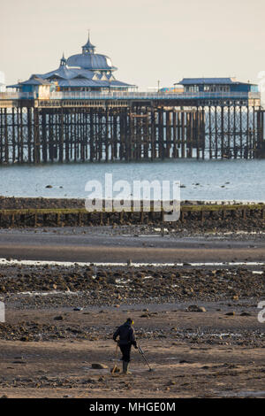 A silhouetted man metal detecting on a sandy beach at sunrise at the popular seaside resort town of Llandudno, Wales, UK Stock Photo