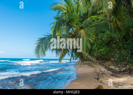 Paradise wild beach of Manzanillo Park in Costa Rica Stock Photo