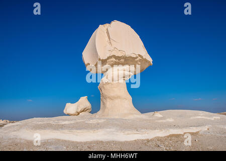 Tree and a chicken limestone formation at the Western White Desert ...