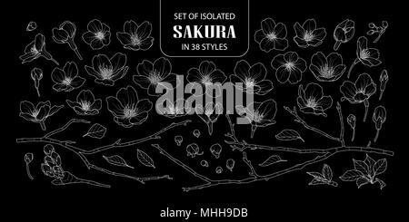 Set of isolated sakura in 38 styles. Cute hand drawn flower vector illustration only white outline on black background. Stock Vector