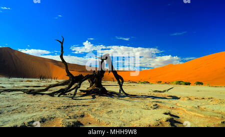 Deadvlei in Namib-Naukluft national park, Sossusvlei, Namibia Stock Photo