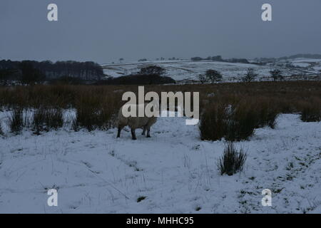 In the area Dean Clough Reservoir Stock Photo