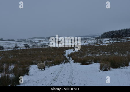 In the area Dean Clough Reservoir Stock Photo