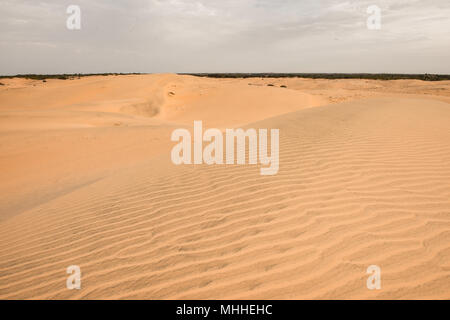 Sahara desert, part of Senegal, Africa Stock Photo