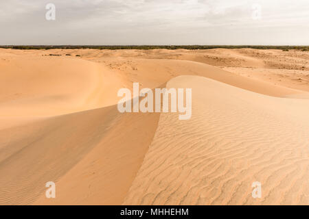 Sahara desert, part of Senegal, Africa Stock Photo