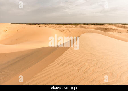 Sahara desert, part of Senegal, Africa Stock Photo