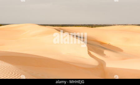 Sahara desert, part of Senegal, Africa Stock Photo