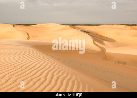 Sahara desert, part of Senegal, Africa Stock Photo