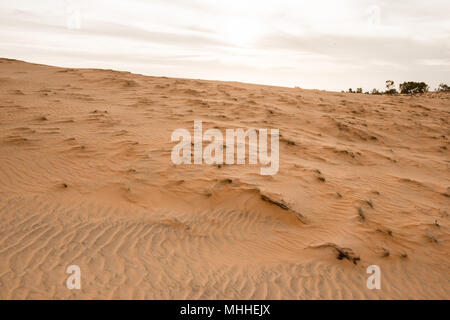 Sahara desert, part of Senegal, Africa Stock Photo