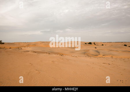 Sahara desert, part of Senegal, Africa Stock Photo