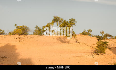 Sahara desert, part of Senegal, Africa Stock Photo