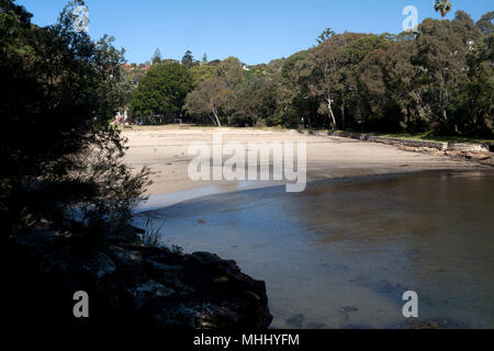 beach parsely bay vaucluse sydney new south wales australia Stock Photo