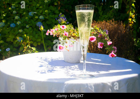 A glass of sparkling wine in a summer garden - John Gollop Stock Photo